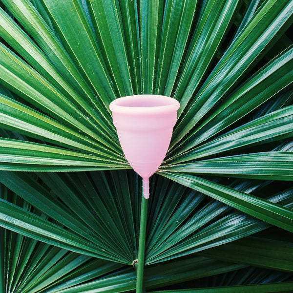 2x Menstrual Cup